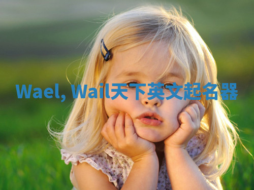 Wael, Wail天下英文起名器